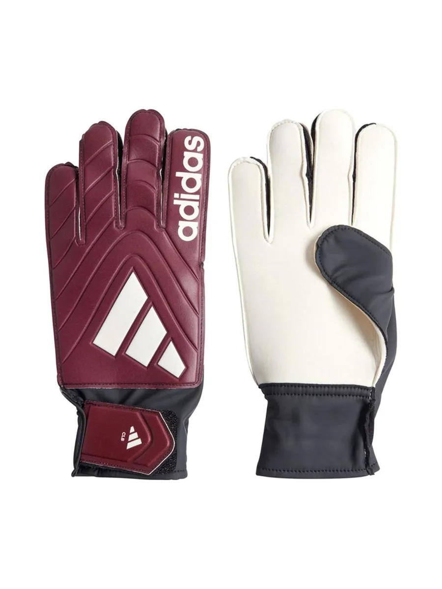 Gants de Gardien Bordeaux Homme Adidas Copa 2