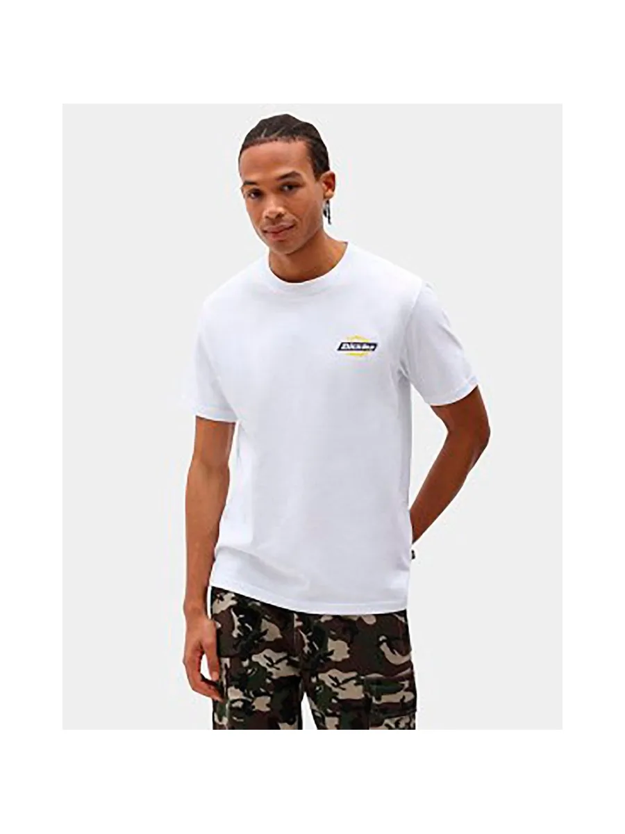 T-shirt DICKIES DK0A4XDC 12
