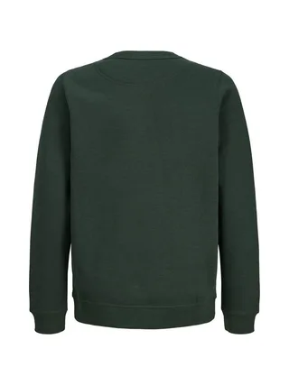 Sweat Vert Garçon Jack & Jones Norrebro 2