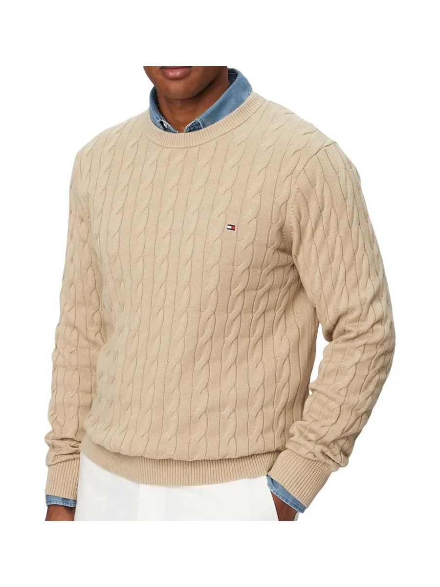Pull Nude Homme Tommy Hilfiger Classic 2