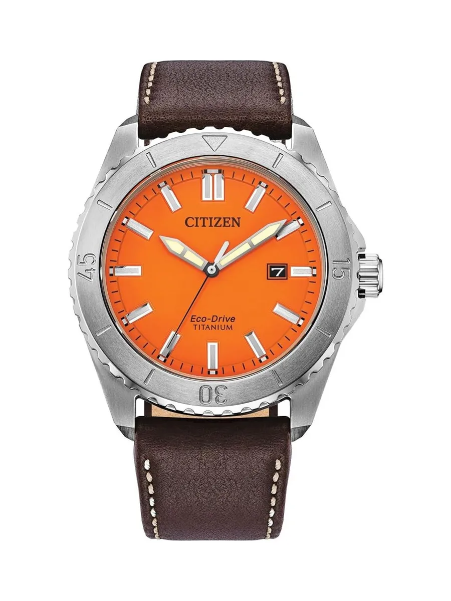 Citizen Men's Weekender 1