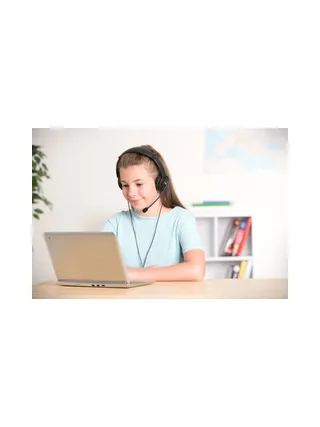 USB Hi-Fi Headphones with Mic 2