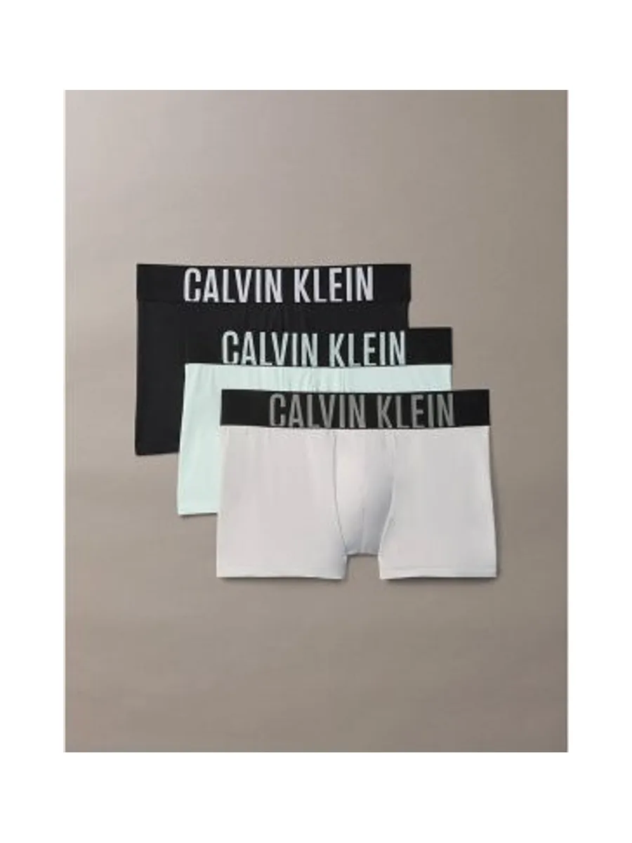 CALVIN KLEIN 000NB3775A - Lot de 3 boxers 2