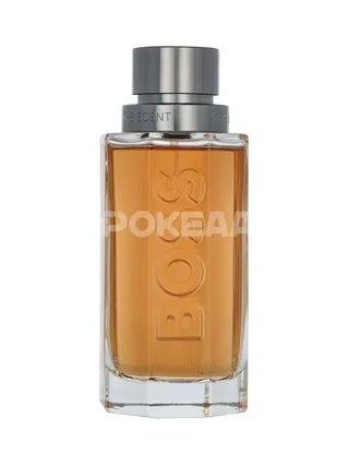 Boss The Scent Edt Spray 100ml 2