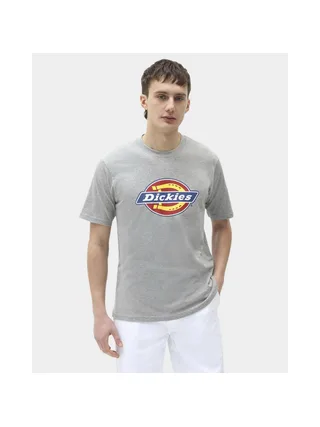 T-shirt DICKIES DK0A4XC9 1