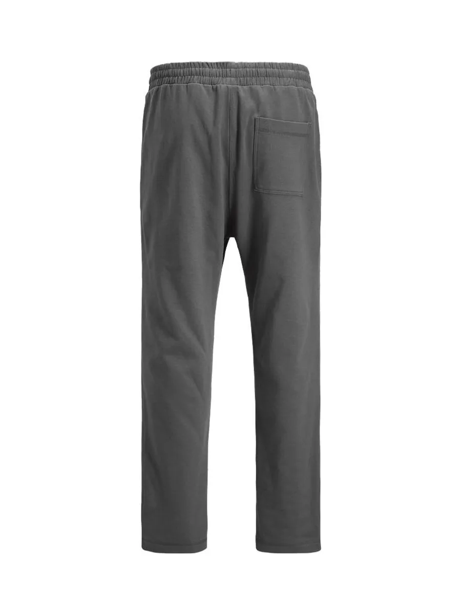 Pantalon fluide Gris Homme Jack & Jones Kaness 3