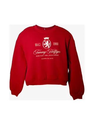 Sweat-shirt TOMMY HILFIGER WW0WW46128 2