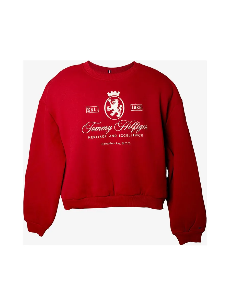 Sweat-shirt TOMMY HILFIGER WW0WW46128 4