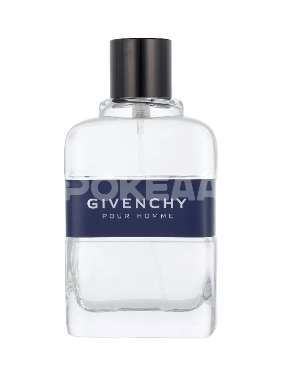 Givenchy Pour Homme Blue Label Edt Spray 100ml 2
