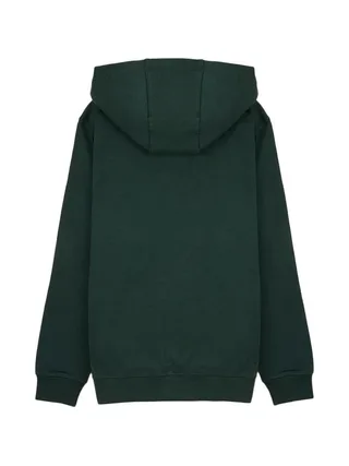 Sweat à Capuche Vert Foncé Garçon Teddy Smith Evry1 2