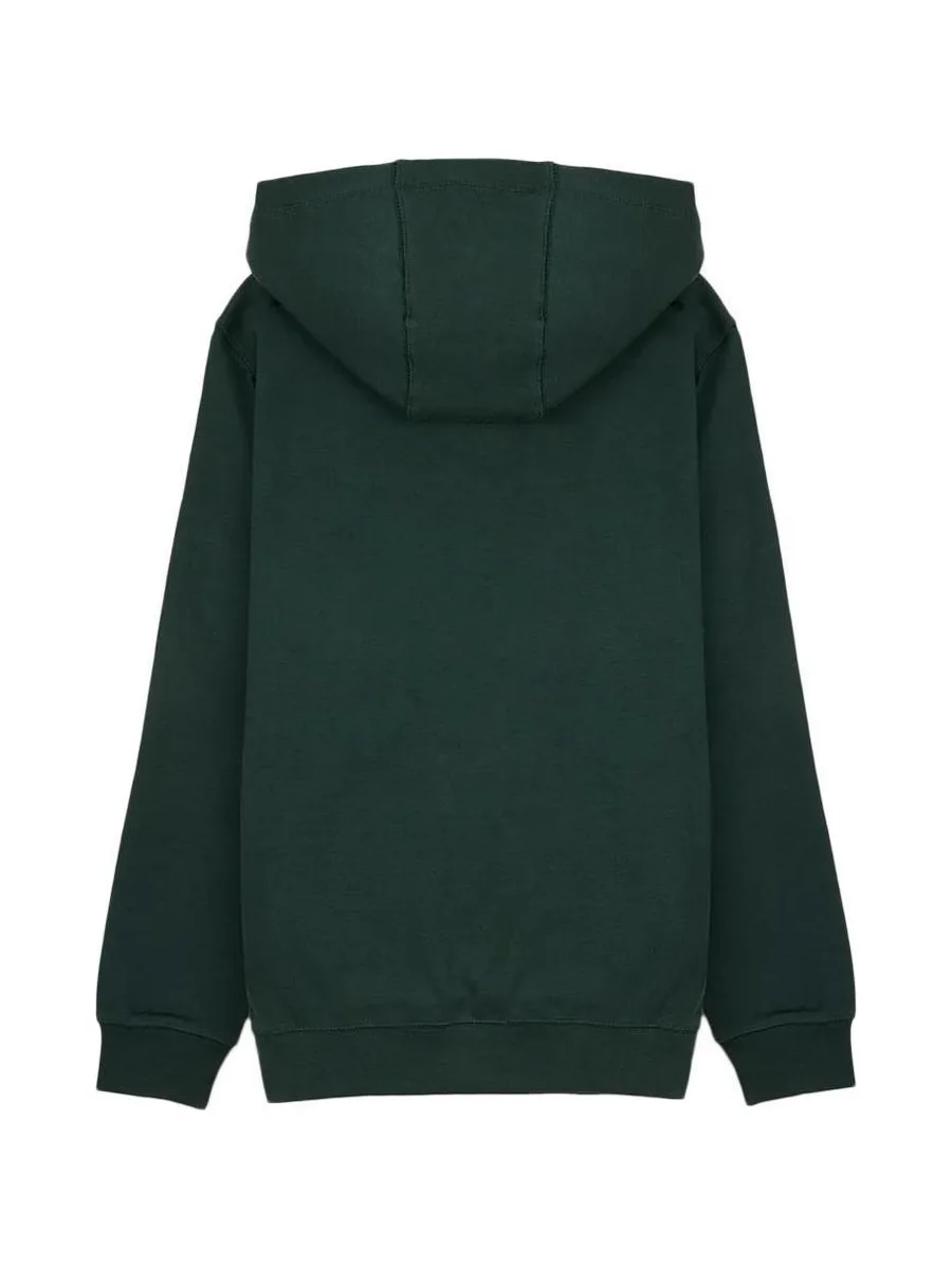 Sweat à Capuche Vert Foncé Garçon Teddy Smith Evry1 3