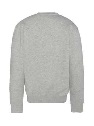 Sweat Gris Homme Schott Rdc Print 2