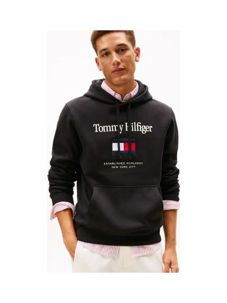 Sweat-shirt TOMMY HILFIGER MW0MW42735 2