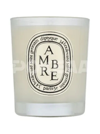 Diptyque Ambre Scented Candle 2