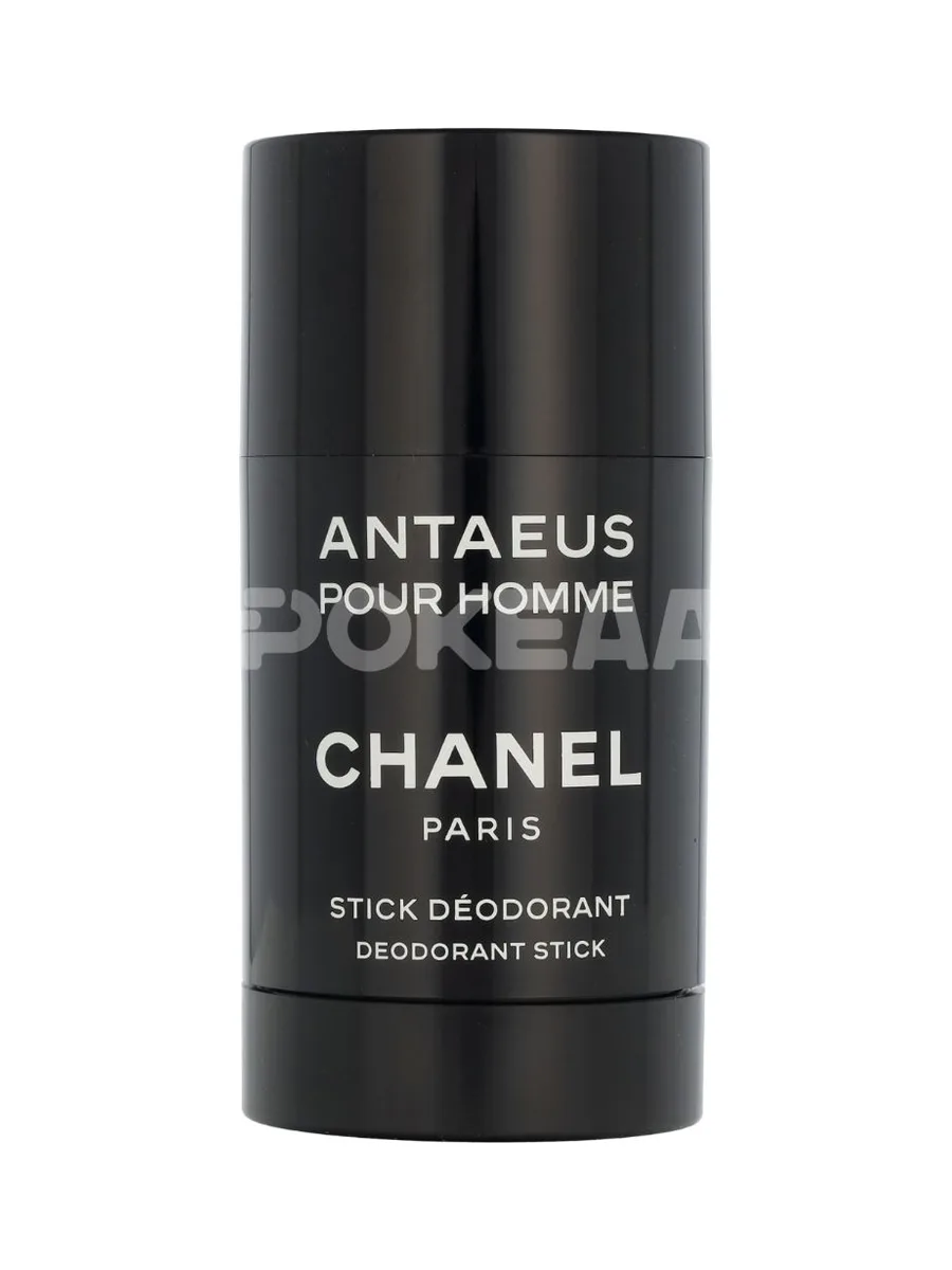 Chanel Antaeus Pour Homme Deo Stick 75ml 2
