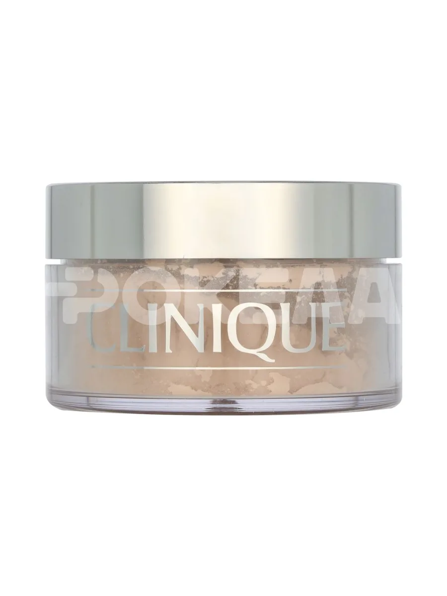 Clinique Blended Face Powder 25ml - #08 Transparency Neutral (MF) 2