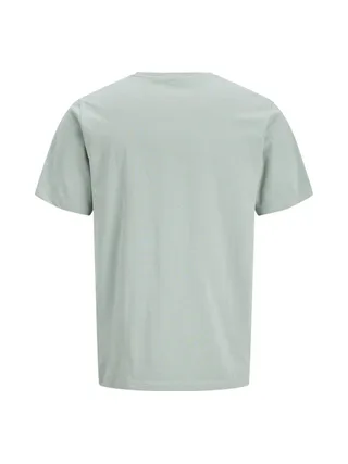 T-Shirt Vert Pale Homme Jack & Jones Hurban 2