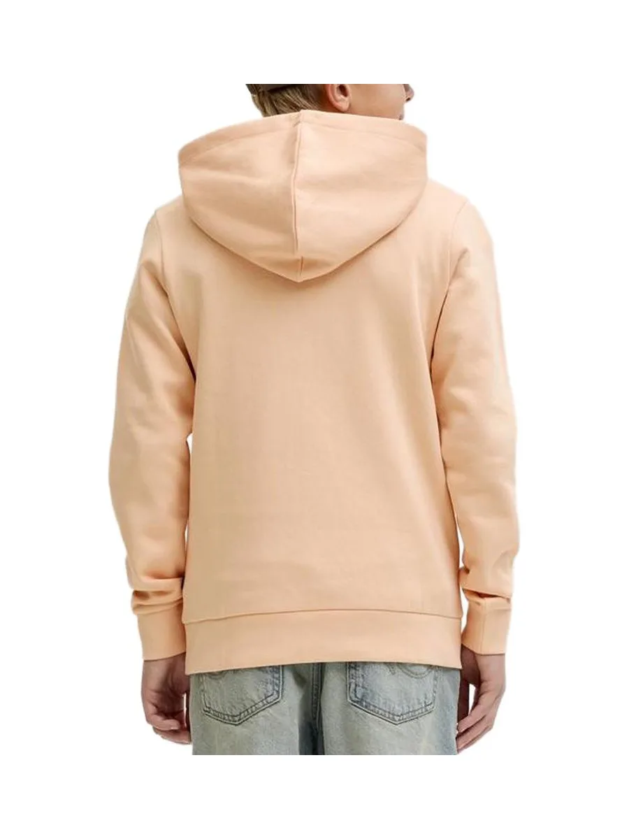 Sweat Orange Garçon Jack & Jones Logo Sweat 3