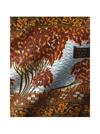 Vlisco Wax Hollandais 2