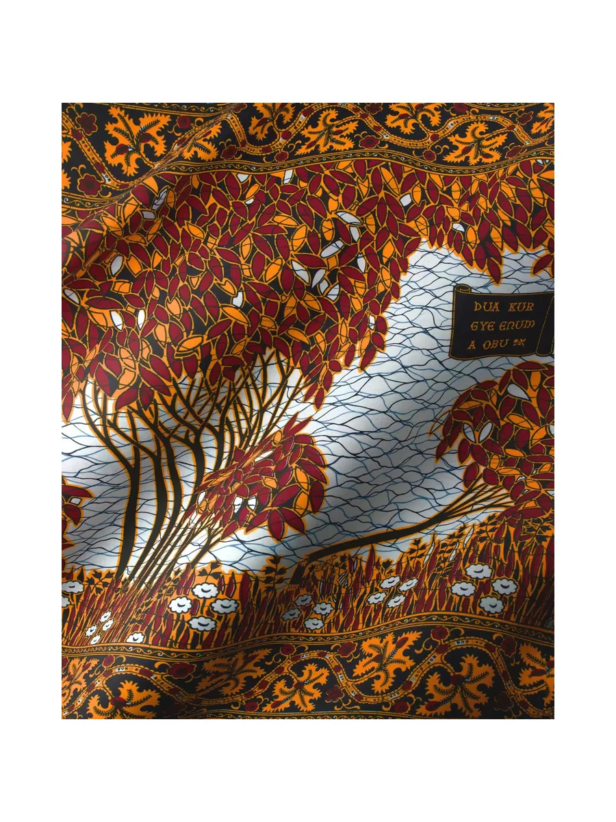 Vlisco Wax Hollandais 6