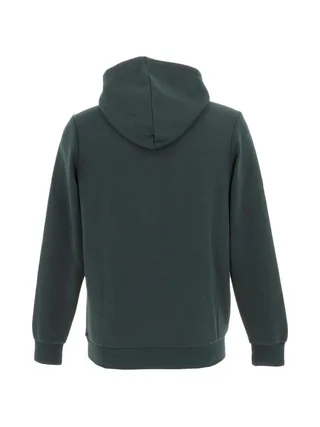 Sweat Vert Garçon Teddy Smith S-nark Hoody Jr 2