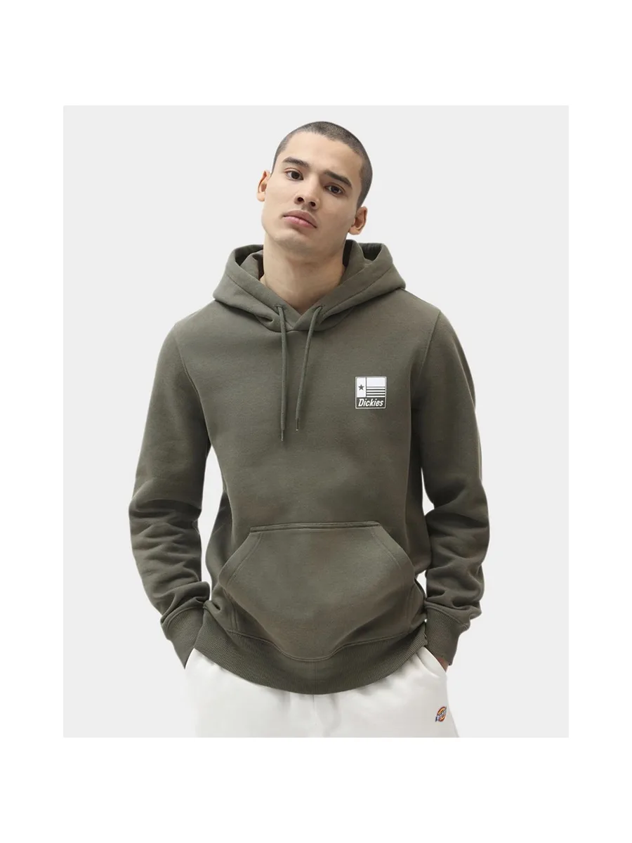 Sweat-shirt DICKIES Taylor 2