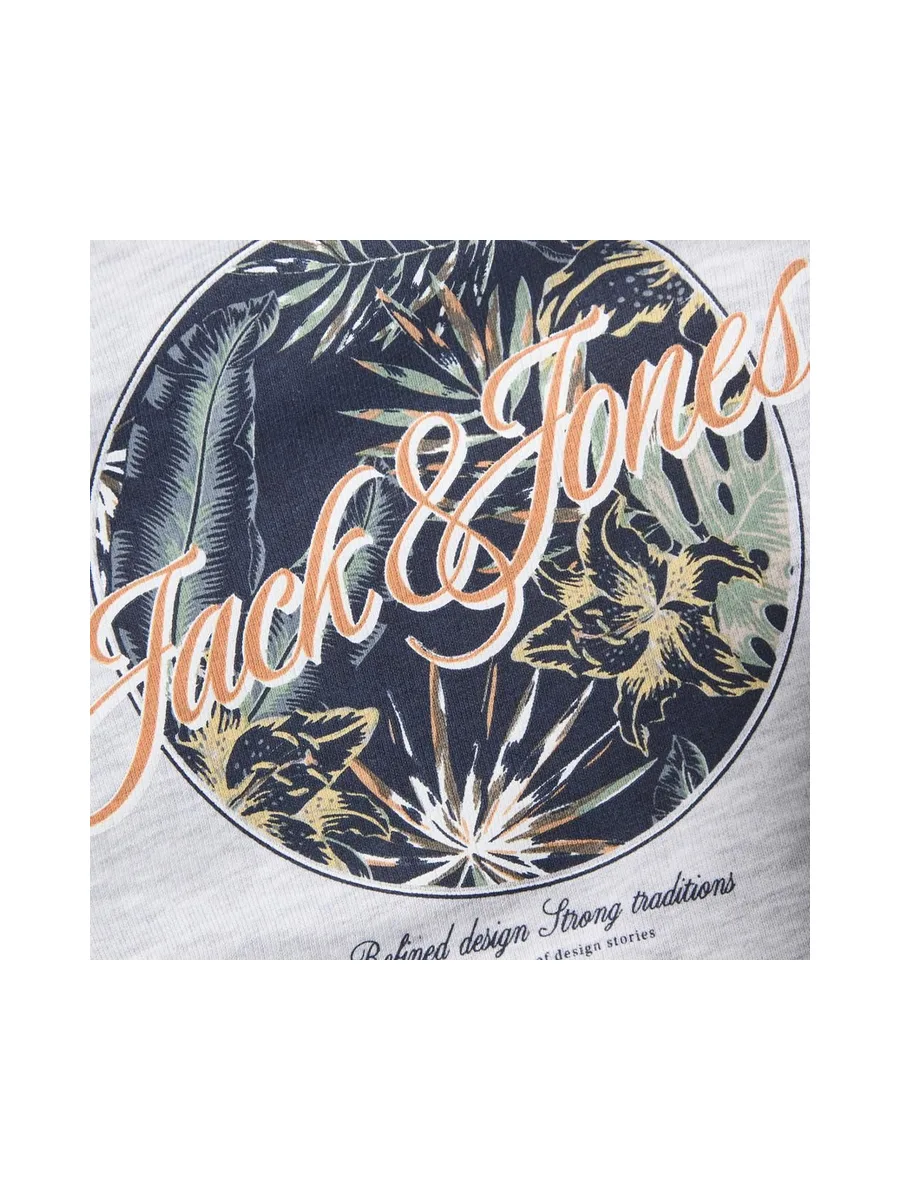 Sweat Gris Garçon Jack & Jones Lulu 3