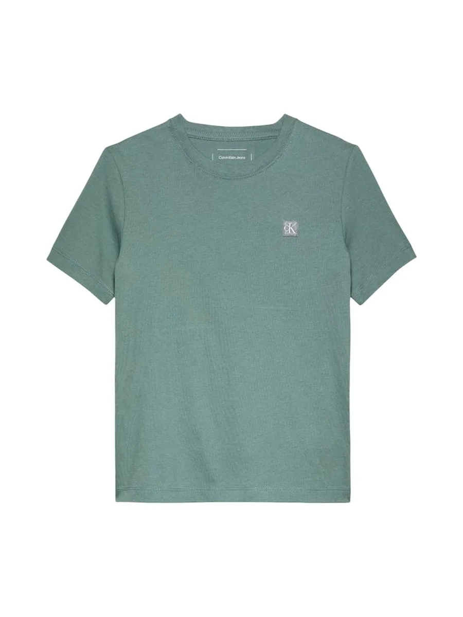 T-shirt Vert Garçon Calvin Klein Jeans IU0IU00543 2