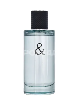 Tiffany & Co & Love For Him Edt Spray 90ml 2