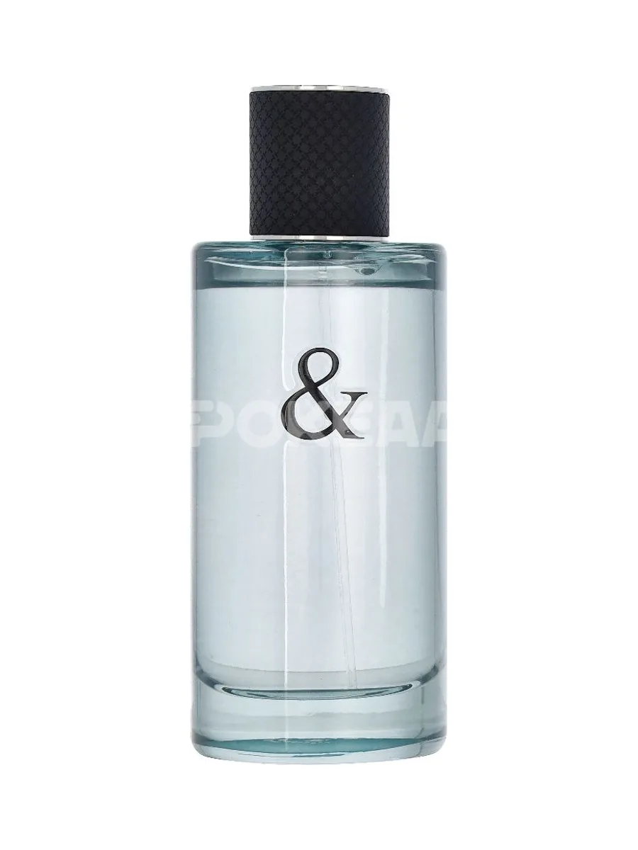 Tiffany & Co & Love For Him Edt Spray 90ml 2