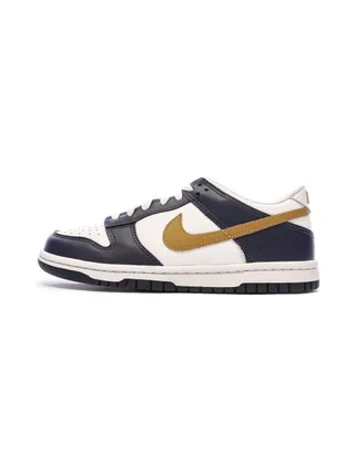 Baskets Bleu/Marron Junior Nike Dunk Low 1