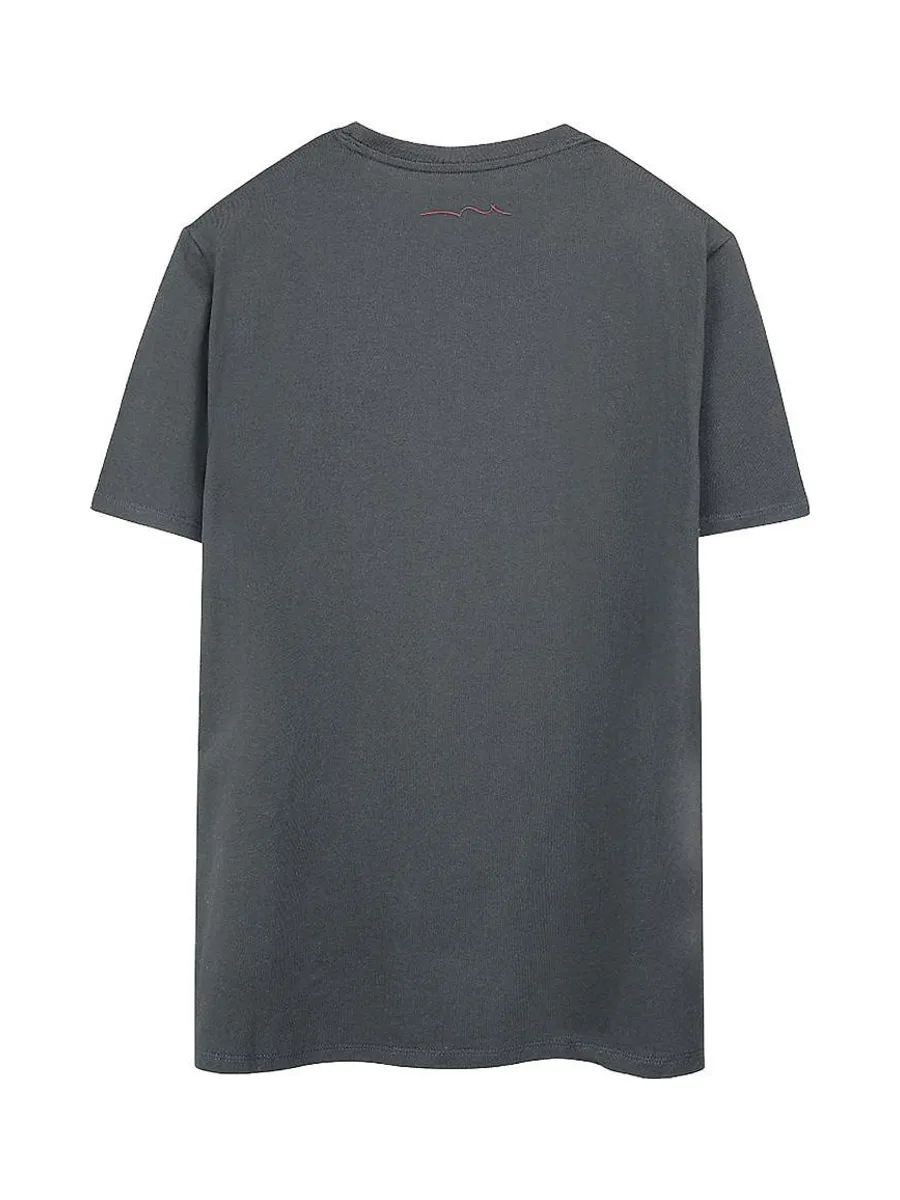 T-Shirt Gris Garçon Teddy Smith Company 3