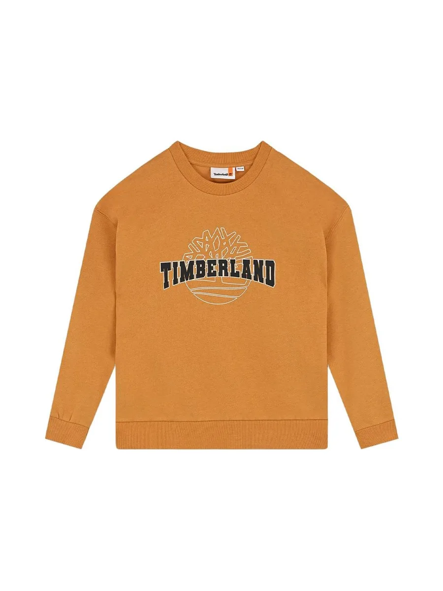 Sweat Jaune Garçon Timberland T60315/589 1