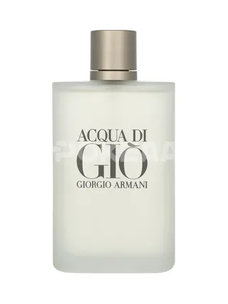 Armani Acqua Di Gio Pour Homme Edt Spray 200ml 2