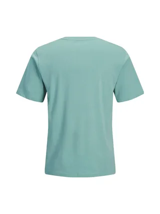 T-Shirt Vert Garçon Jack & Jones Cole 2