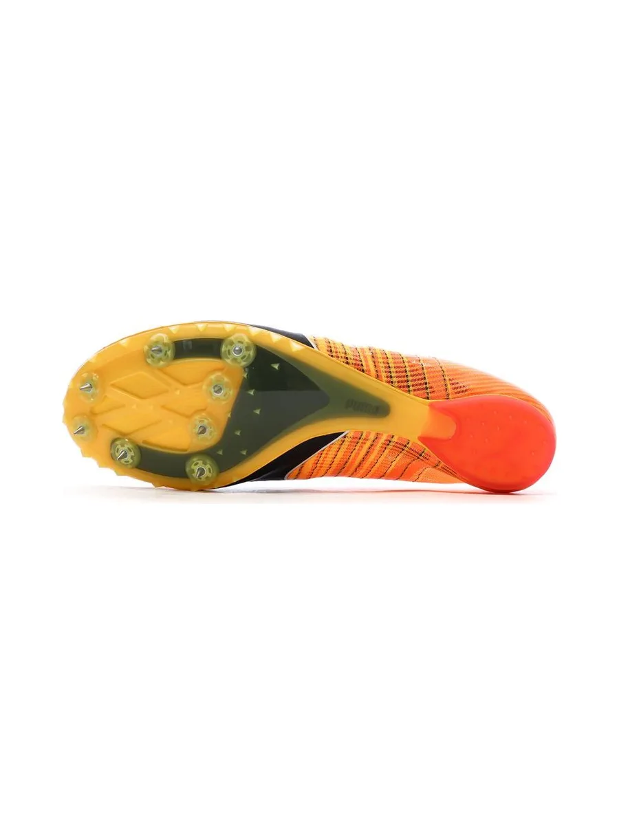 Chaussures d'athlétismes Orange Homme Puma Evospeed Future 6 6