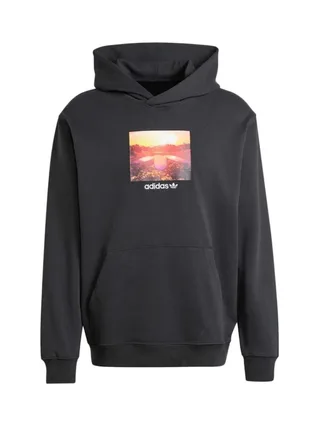 Sweat Gris Homme Adidas Graphic Hoodie 3