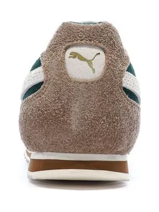 Baskets Beiges/Vertes Homme Puma Arizona 3