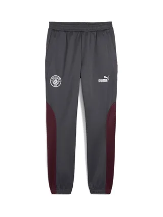 Manchester City Jogging Gris Homme Puma 2024/25 1