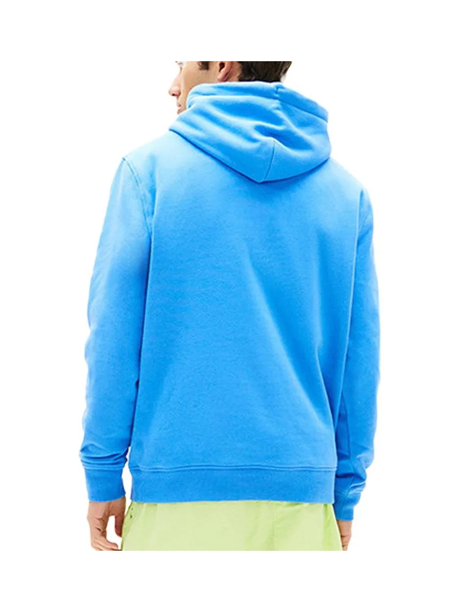 Sweat Turquoise Homme Tommy Hilfiger Washed DM0DM20746 3