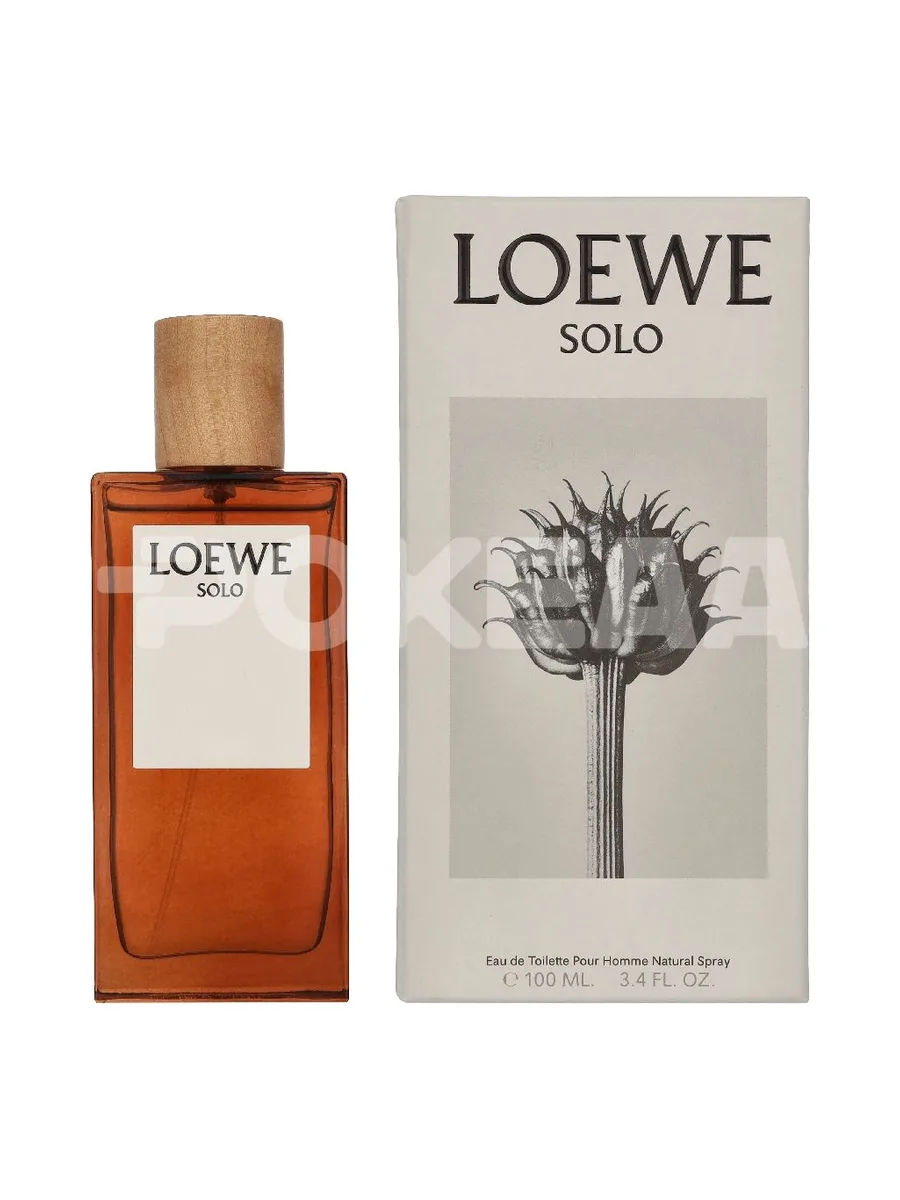 Loewe Solo Pour Homme Edt Spray 100ml 1