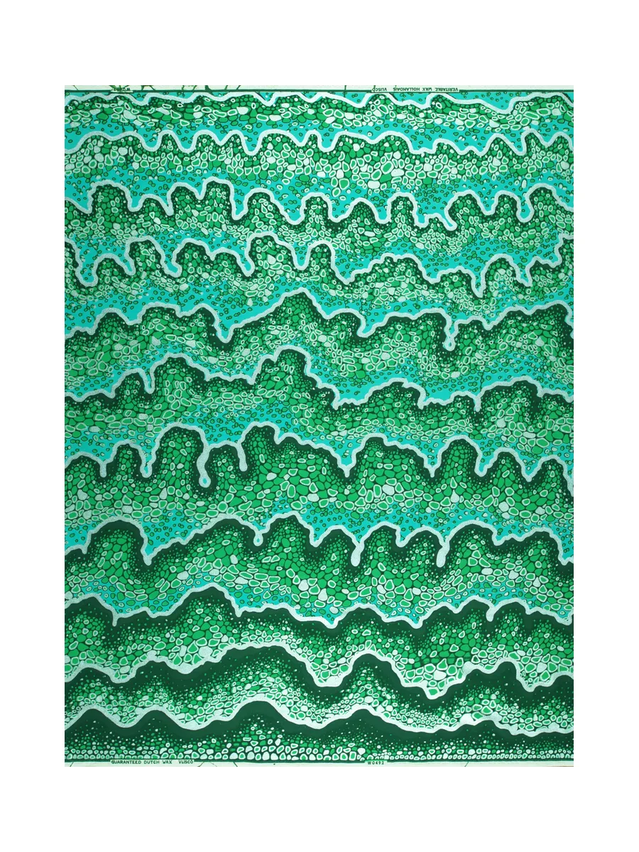 Vlisco Wax Hollandais 9