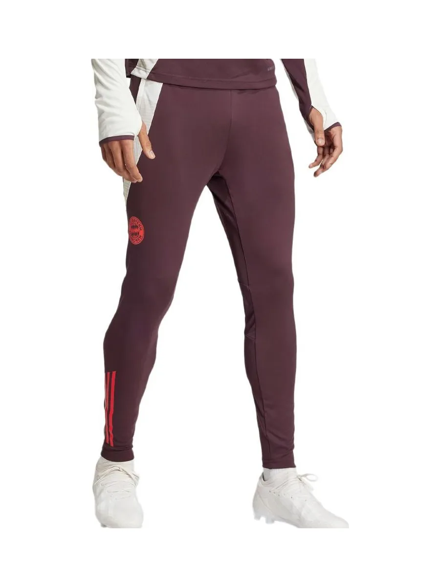 Bayern Munich Pantalon Training Bordeaux Homme Adidas Tiro 24 2