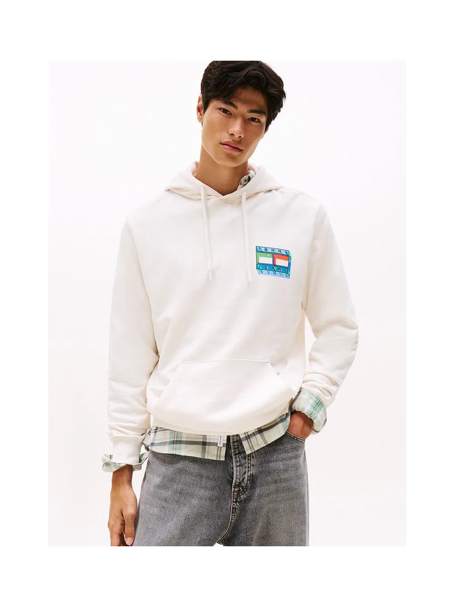 Sweat-shirt TOMMY HILFIGER DM0DM22077 3