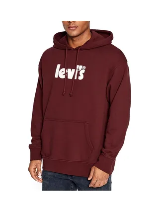 Sweat à capuche Bordeaux Homme Levis Graphic Po 1