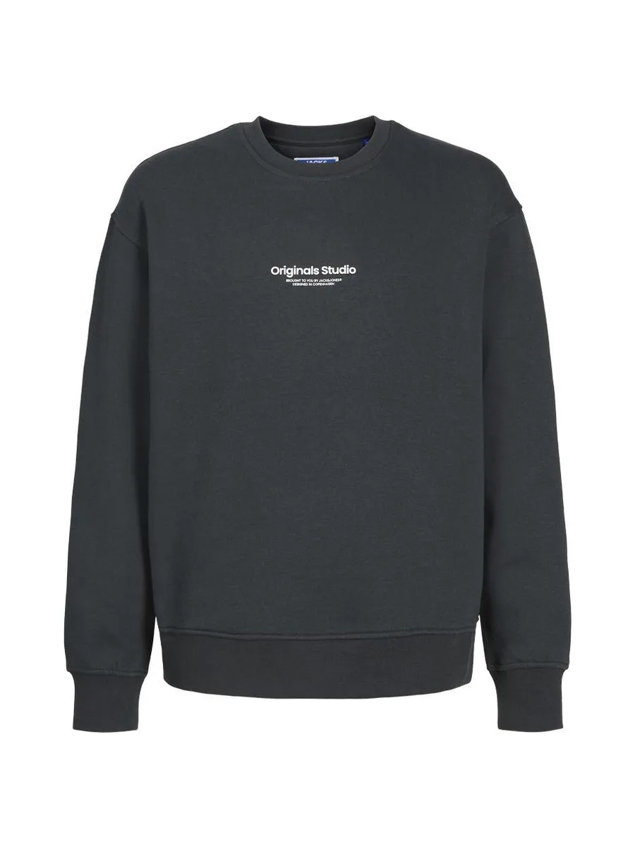 Sweat Gris Foncé Garçon Jack & Jones Esterbro 2