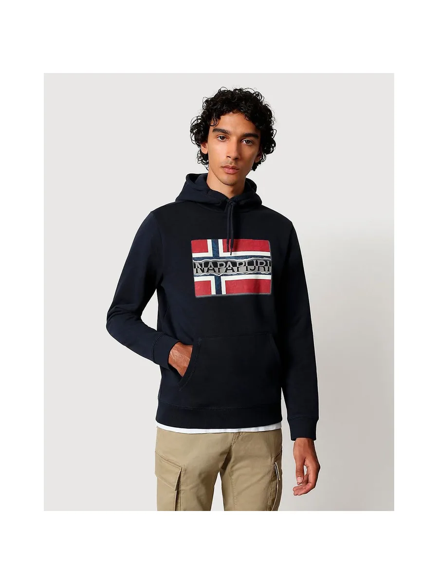 NAPAPIJRI NP0A4FQYGE41 - Sweatshirt 4