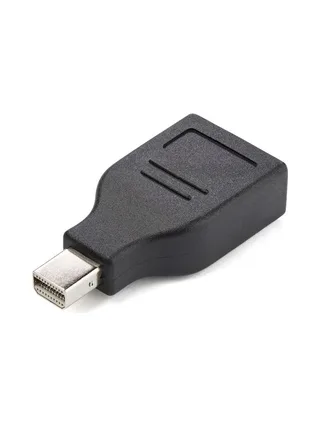 Mini DisplayPort to DisplayPort adapter 1