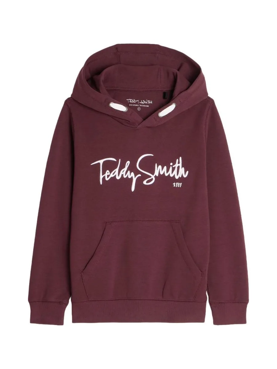Sweat à Capuche Bordeaux Garçon Teddy Smith Evry1 2