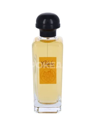 Hermes Caleche Edt Spray 100ml 2